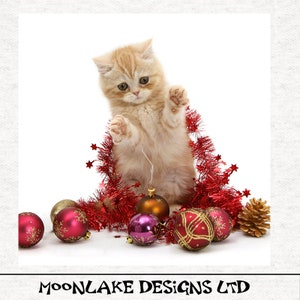 Winter Ginger Cat Playing with Tinsel -  Fabric Craft Panels 100% Cotton or Polyester