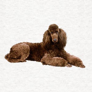 Poodle, Chocolate Poodle |Fabric Craft Panels in 100% Cotton or Polyester