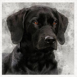 チョコレート色のラブラドール・レトリバーの肖像画生地クラフトパネル