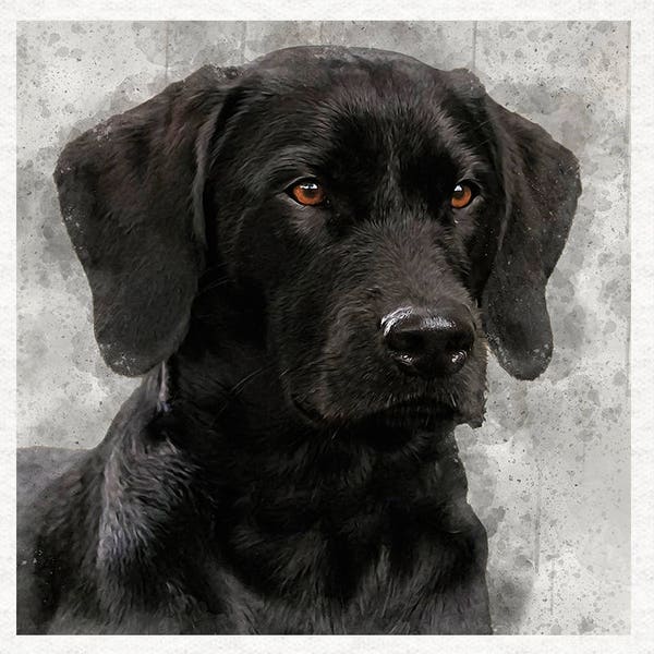 Portrait du Labrador noir, éclaboussures d’aquarelle | Panneaux d’artisanat en tissu 100% coton ou polyester