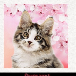 メインクーンの子猫、| | 100% コットンまたはポリエステルのファブリック クラフト パネル