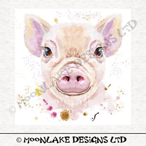 May include: A watercolour illustration of a pig's face, with a pink snout, ears, and skin. The pig has blue eyes and is surrounded by pink, yellow, and brown paint splatters. The text "MOONLAKE DESIGNS LTD" is at the bottom.