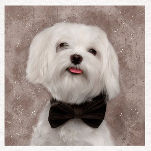 Maltese Dog With Dicky Bow Tie... Watercolour Print | Upholstery | Sewing | Craft | Printed Fabric Panels - | 8x8 inch, 12x12 inch