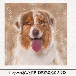 Australian shepherd , Watercolor grunge splatter | Quilting | Sewing | Craft | Printed Fabric Panels