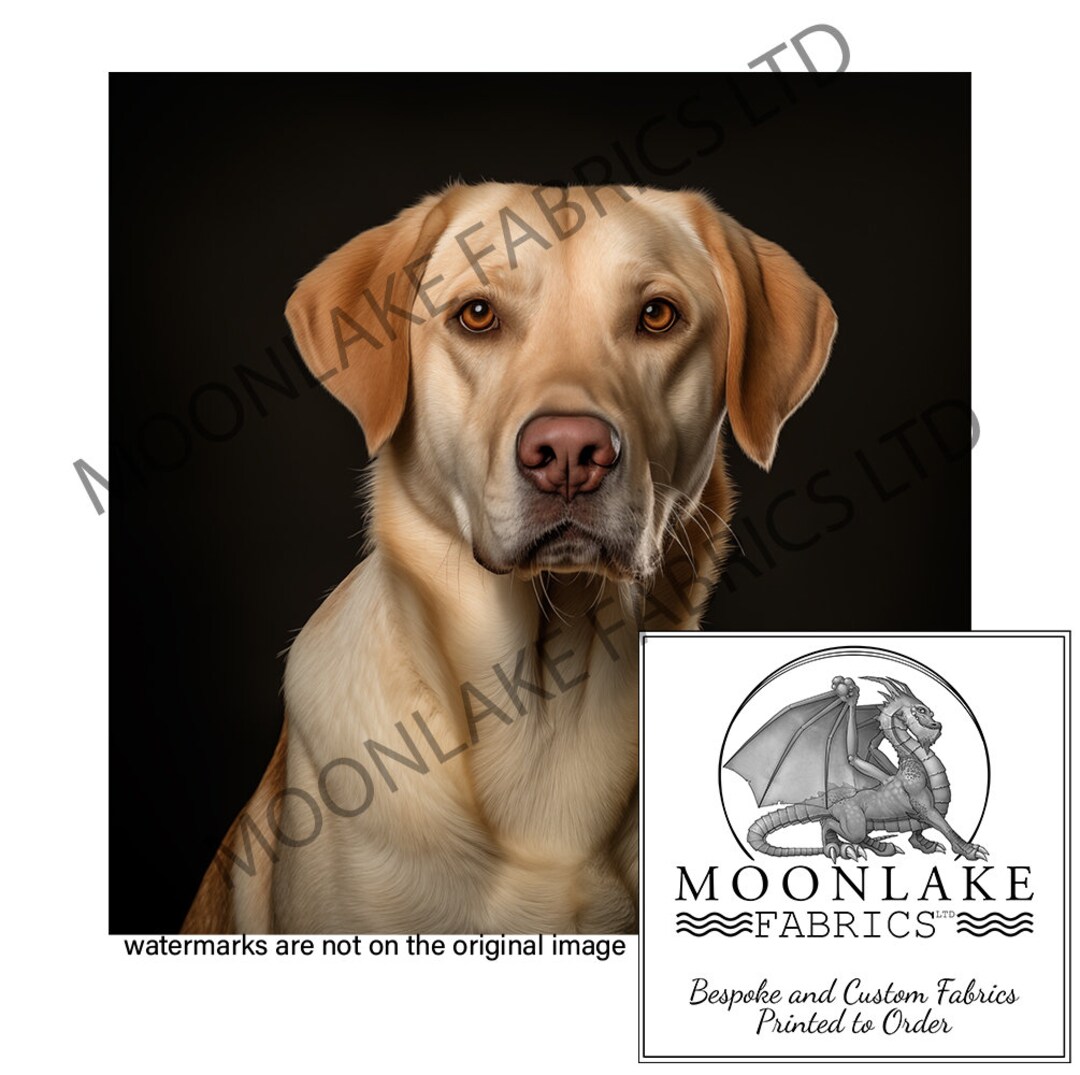 Labrador Retriever Portrait Looking Left 100% Natural Cotton or