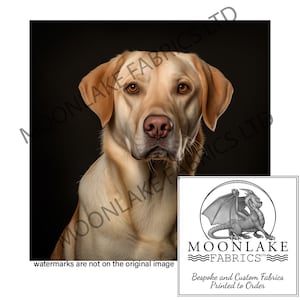 Labrador Retriever Portrait looking left 100% Natural Cotton or 290gsm thick soft Polyester Fabric Panel Squares