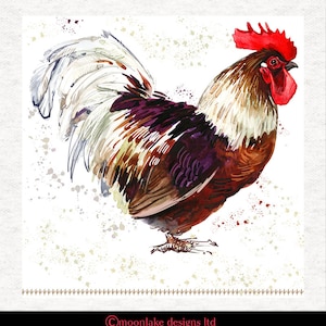 May include: Watercolour painting of a rooster with a red comb and wattles. The rooster is brown, white, and purple with a white tail. The background is white with brown and yellow splatters.
