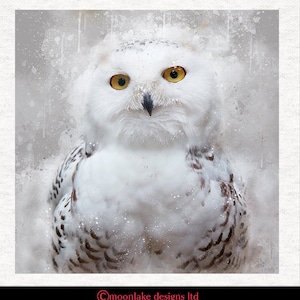 Snowy Owl, Grunge and splatter |Fabric Craft Panels 100% Cotton or Polyester