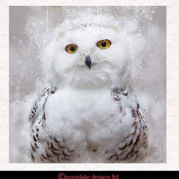 Snowy Owl, Grunge and splatter |Fabric Craft Panels 100% Cotton or Polyester