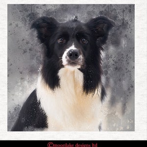 May include: A black and white border collie dog with a white patch on its chest, looking directly at the camera. The dog is in focus, while the background is blurred and has a watercolor effect.