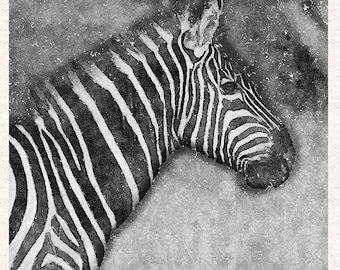 Zebra  print, black white and greys, fabric | Fabric Craft Panels in 100% Cotton or Polyester