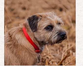 Panel z tkaniny Border Terrier w kolorze olejnym, czerwony kołnierz | Pikowanie | Szycie | Rękodzieło | Panele z tkaniny drukowanej