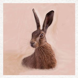 Hase, Stoff Handwerk Panels 100 % Baumwolle oder Polyester