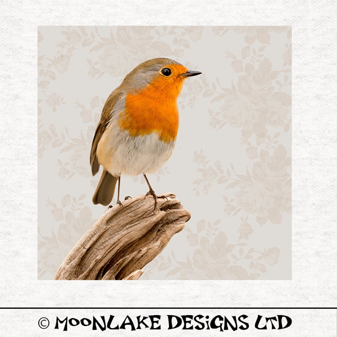 Robin on Light Floral Background| | Fabric Craft Panels 100% Cotton or ...