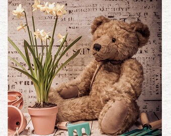 Old Teddy Bear Gardener,  Fabric Panel | Upholstery | Sewing | Craft | Printed Fabric Panels