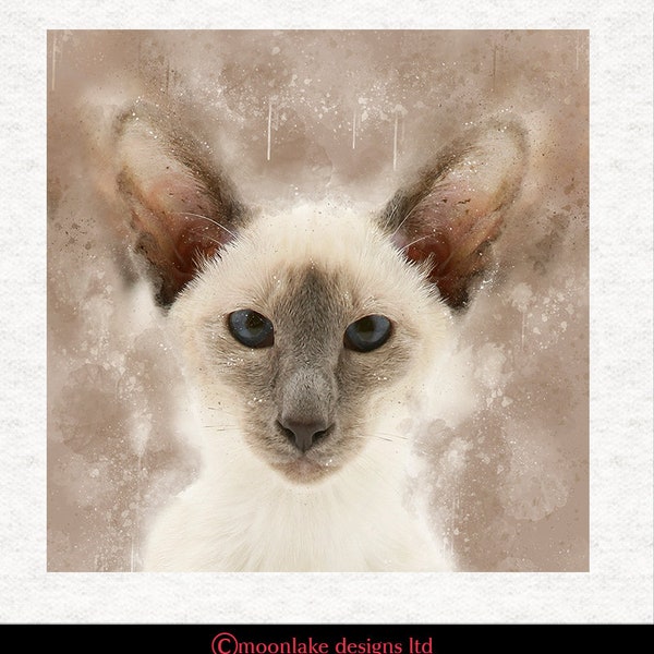 Siamese Blue Pointed Cat,  grunge splatter |  . | Fabric Craft Panels 100% Cotton or Polyester