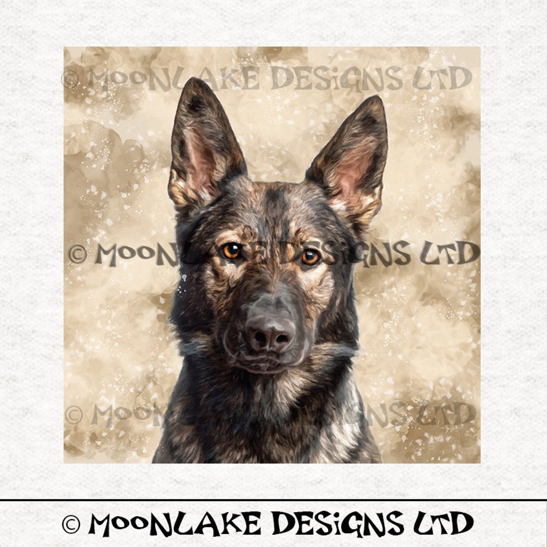 Brindle german cheap shepherd puppy