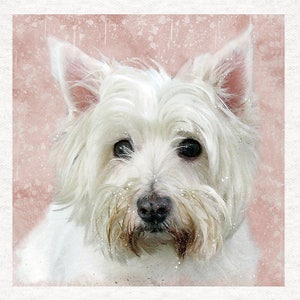 West Highland Terrier Stoff | Nähen | Handwerk | Bedruckte Stoff-Panels - | 8 x 8 Zoll, 12 x 12 Zoll