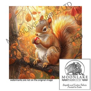 Squirrel Autmn Glow Fabric Craft-panelen van 100% katoen of polyester