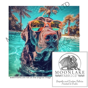 Könnte beinhalten: Ein schwarzer Labrador Retriever mit rosa Sonnenbrille schwimmt in einem Pool. Der Hund schaut direkt in die Kamera. Der Pool ist von Palmen und blauem Himmel umgeben.