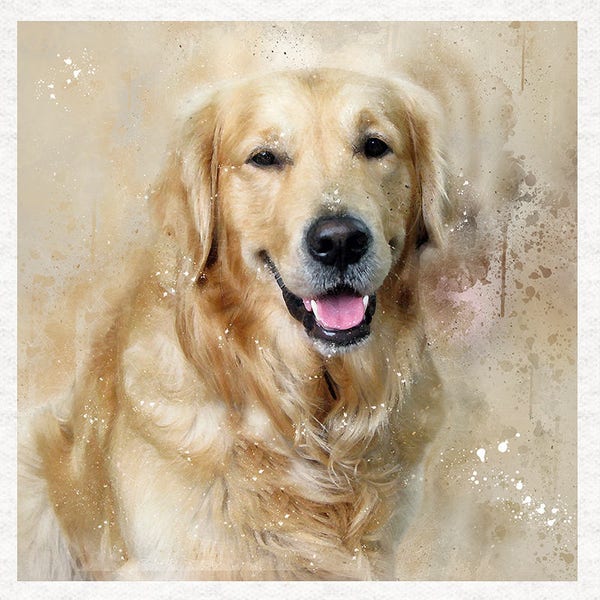 Golden Retriever, Éclaboussures d’aquarelle | Panneaux d’artisanat en tissu 100% coton ou polyester