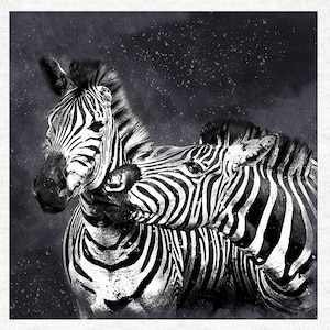 Zebras, dunkel grunge splatter, | Stoff Bastelplatten 100% Baumwolle oder Polyester