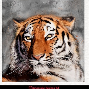 Tigerhead,  Splatter. Fabric Craft Panels 100% Cotton or Polyester