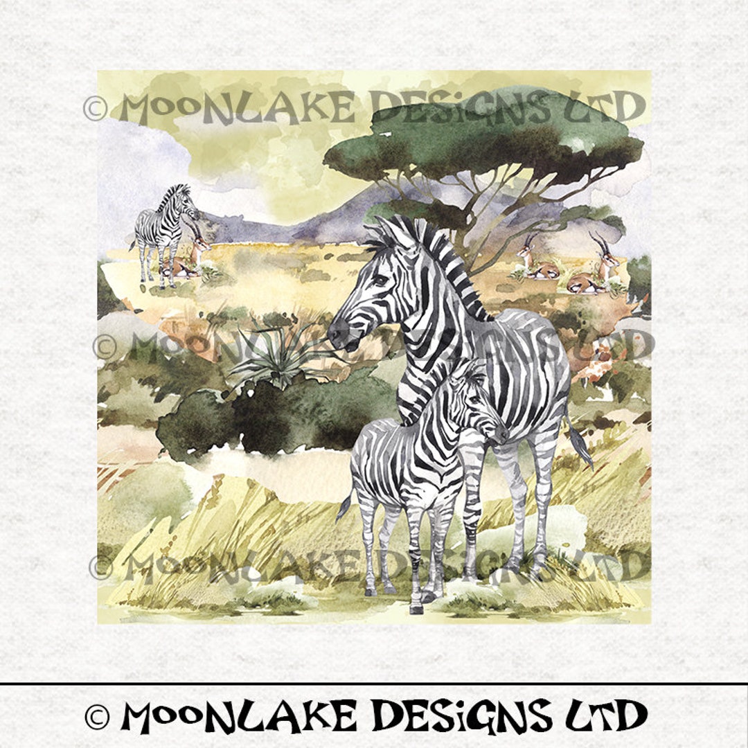 Savanna Zebra Fabric Panel Square 100 Cotton or Polyester Etsy