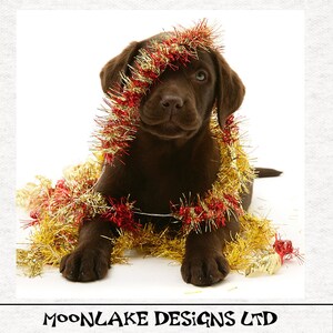 Winter chocolate Labrador Playing with Tinsel - Fabric, Upholstery, Craft, Quilting, Sewing Panel