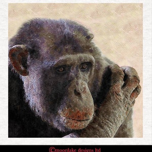 Chimpanzee, &quot;quite contemplation&quot;.    Fabric Craft Panels 100% Cotton or Polyester