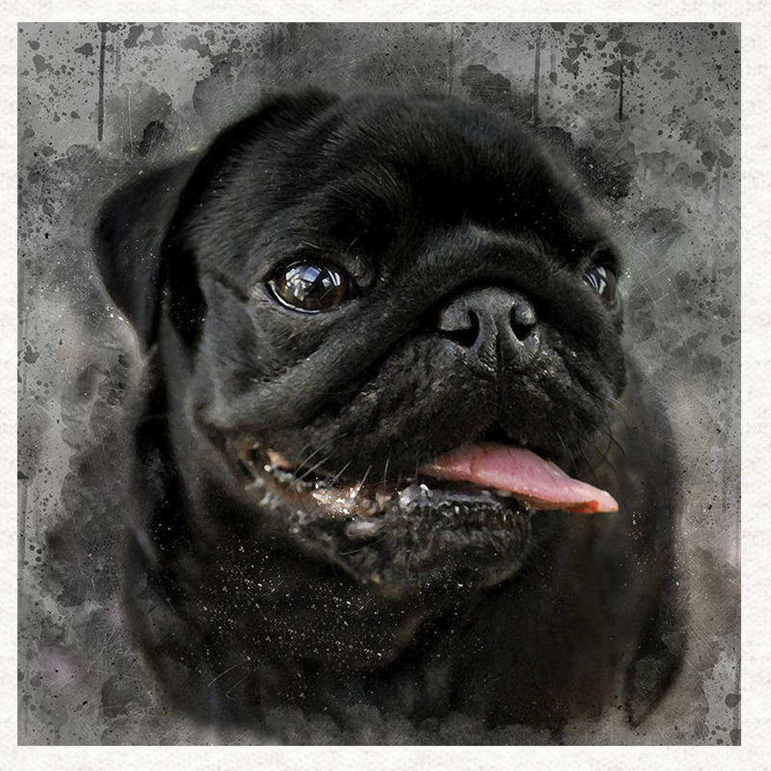 7/10♡パグ♡わんちゃん♡パネル♡ハンドメイド 7/18♡わんちゃん♡クッキー♡パネル♡ハンドメイド 7/10♡パグ♡