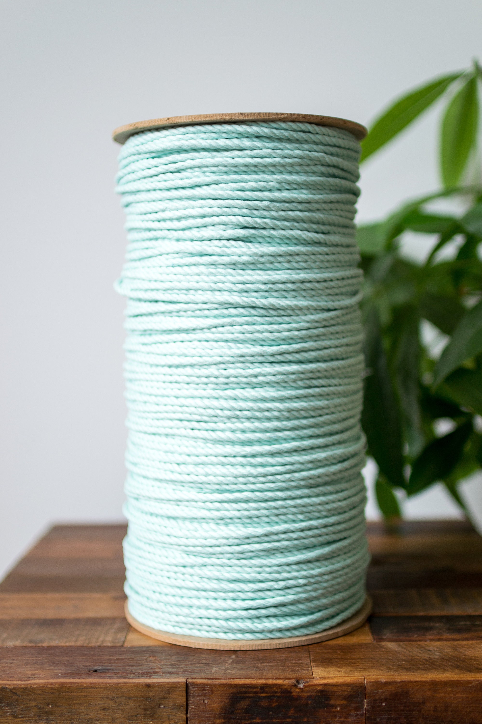 6MM Cotton Rope 1/4 Inch Macrame Cord Super Soft Weaving Cord Three Strand  Twisted Cotton Rope Blue Green Variety Macrame Rope 