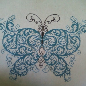Spring Butterfly