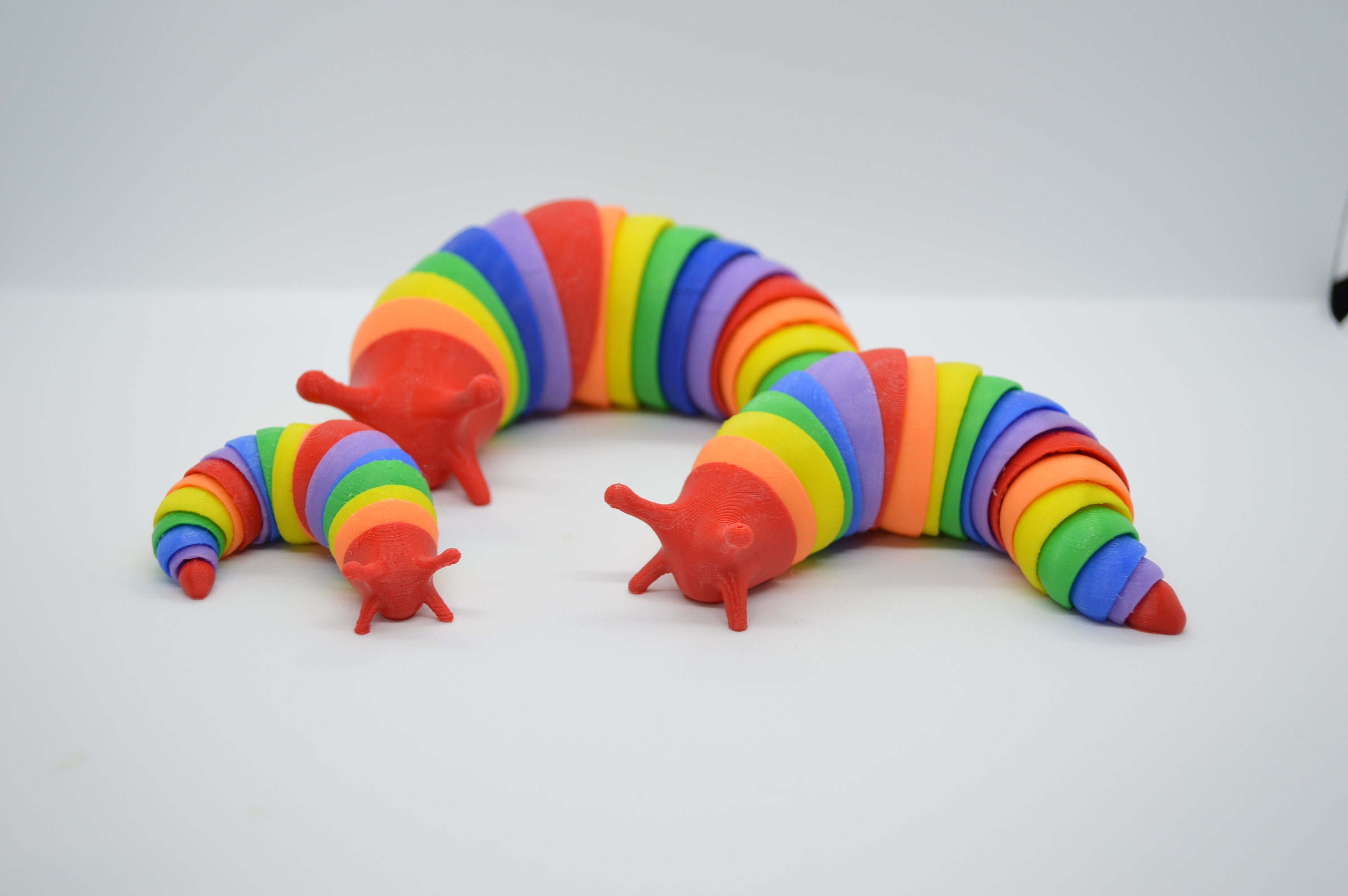 3D Printed Rainbow Fidget Slug - Etsy