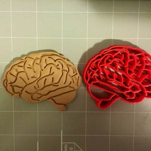 Brain Anatomy Cookie Cutter Fast Shipping Sharp Edges Exceptional Quality image 1