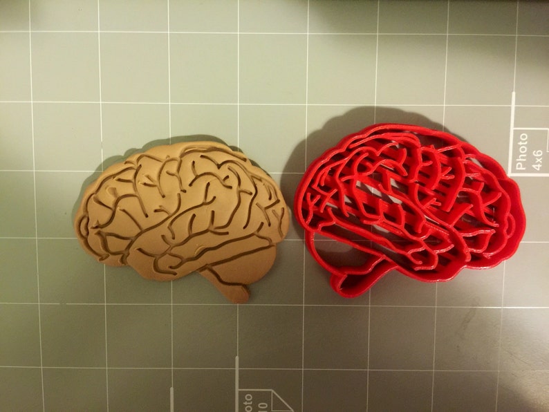 Brain Anatomy Cookie Cutter Fast Shipping Sharp Edges Exceptional Quality image 1