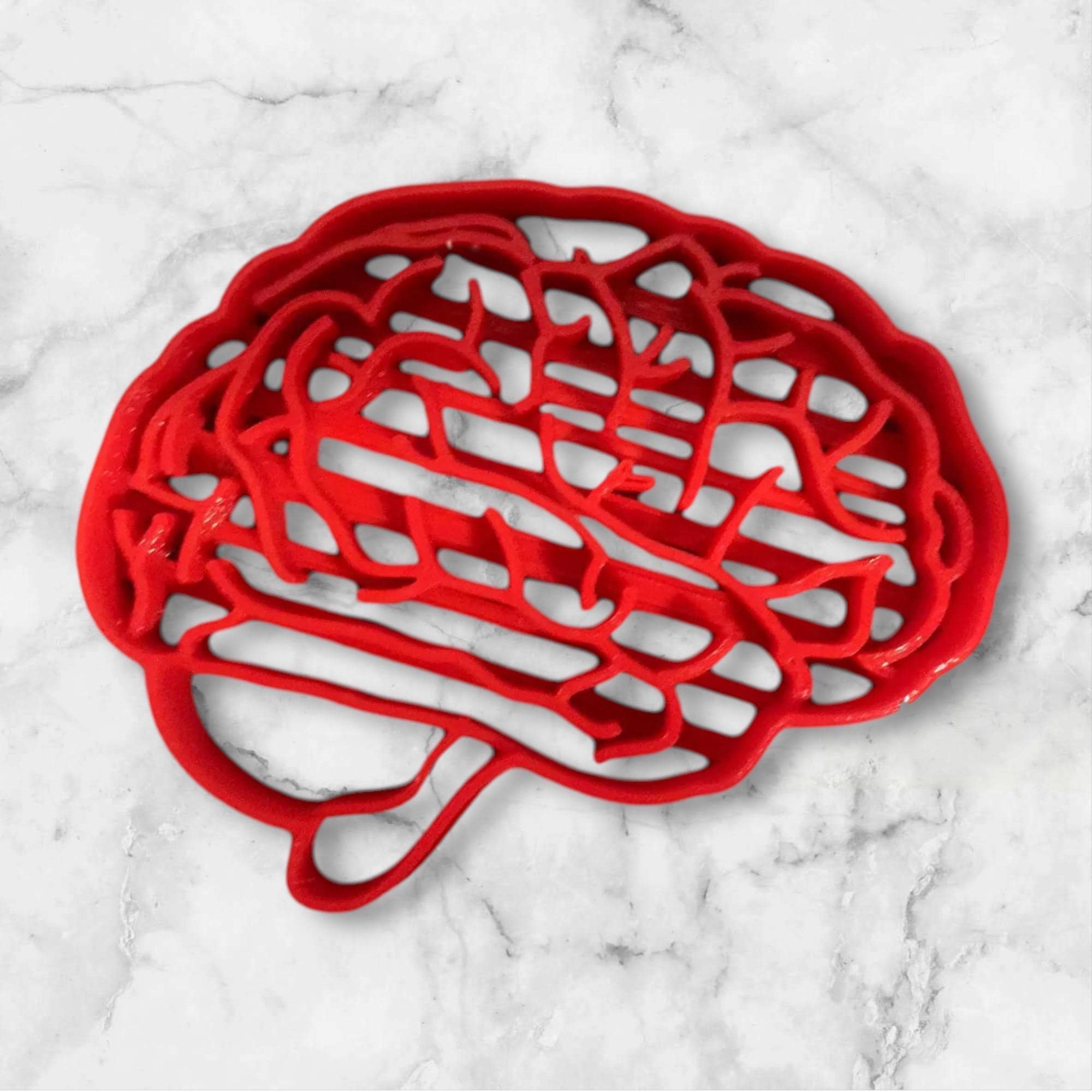 Cortador de biscoitos de anatomia cerebral - envio rápido - bordas afiadas - qualidade excepcional