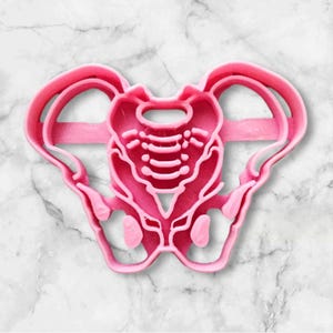 Pelvis Cookie Cutters- Fast Shipping - Sharp Edges - Exceptional Quality