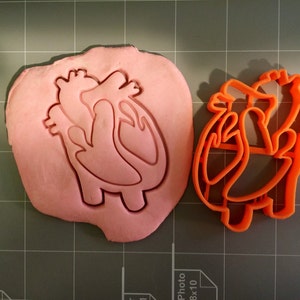 Heart Anatomy Cookie Cutter- Fast Shipping - Sharp Edges - Exceptional Quality