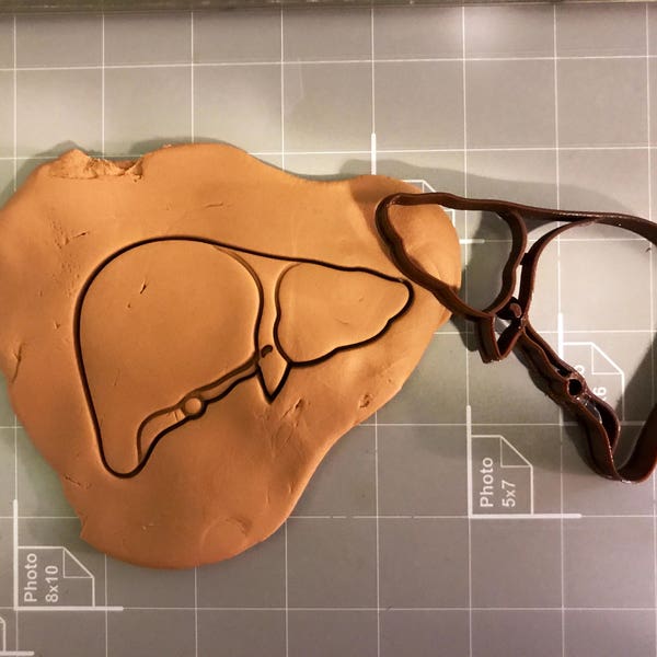 Liver Anatomy Cookie Cutter- Fast Shipping - Sharp Edges - Exceptional Quality