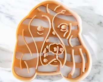 Cortador de galletas de Springer Spaniel Inglés - Envío rápido - Bordes afilados - Calidad excepcional / Regalo para amantes de los perros / Regalo para mamás de perros / Máquina para hacer golosinas para perros