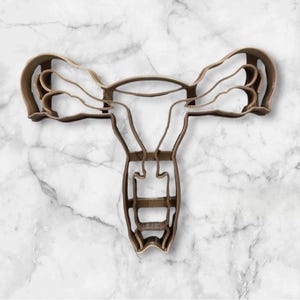 Female Anatomy Cookie Cutter- Fast Shipping - Sharp Edges - Exceptional Quality