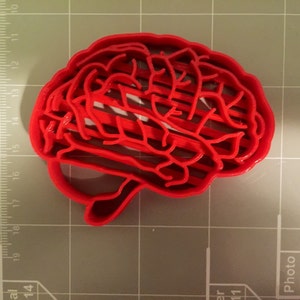 Brain Anatomy Cookie Cutter Fast Shipping Sharp Edges Exceptional Quality image 2