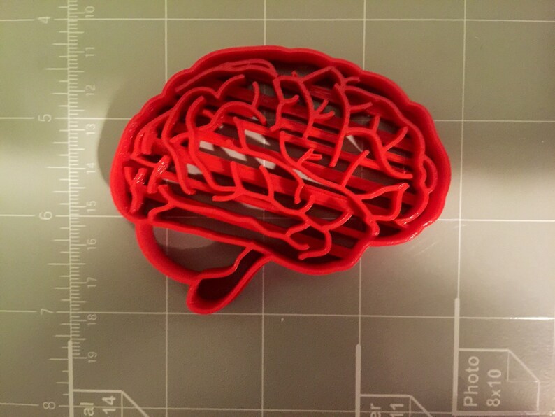 Brain Anatomy Cookie Cutter Fast Shipping Sharp Edges Exceptional Quality image 2