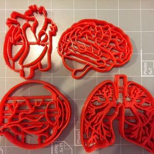 Human Tissue Anatomy Cookie Cutter (Set of 4)- Fast Shipping - Sharp Edges - Exceptional Quality