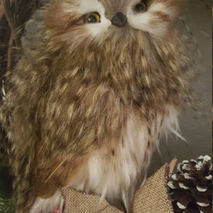 Have an Owl Christmas OAK image 3