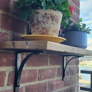 May include: A wooden shelf with black metal brackets is mounted to a brick wall. A terracotta pot with a green plant is on the shelf. A second pot with a green plant is on the shelf to the right.