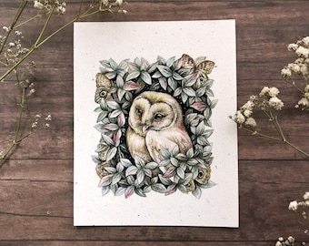 Barn Owl and Owl Moth | 4x5 Fine Art Print