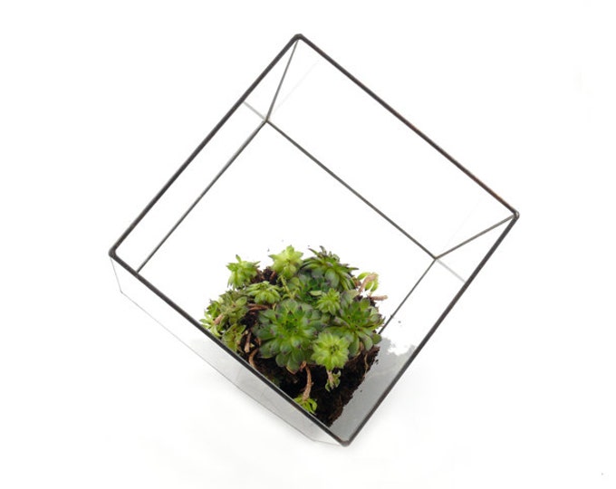Terrarium, glass terrarium, stained glass succulents, terrarium jewelry, geometric terrarium, succulent terrarium, glass geometric terrarium
