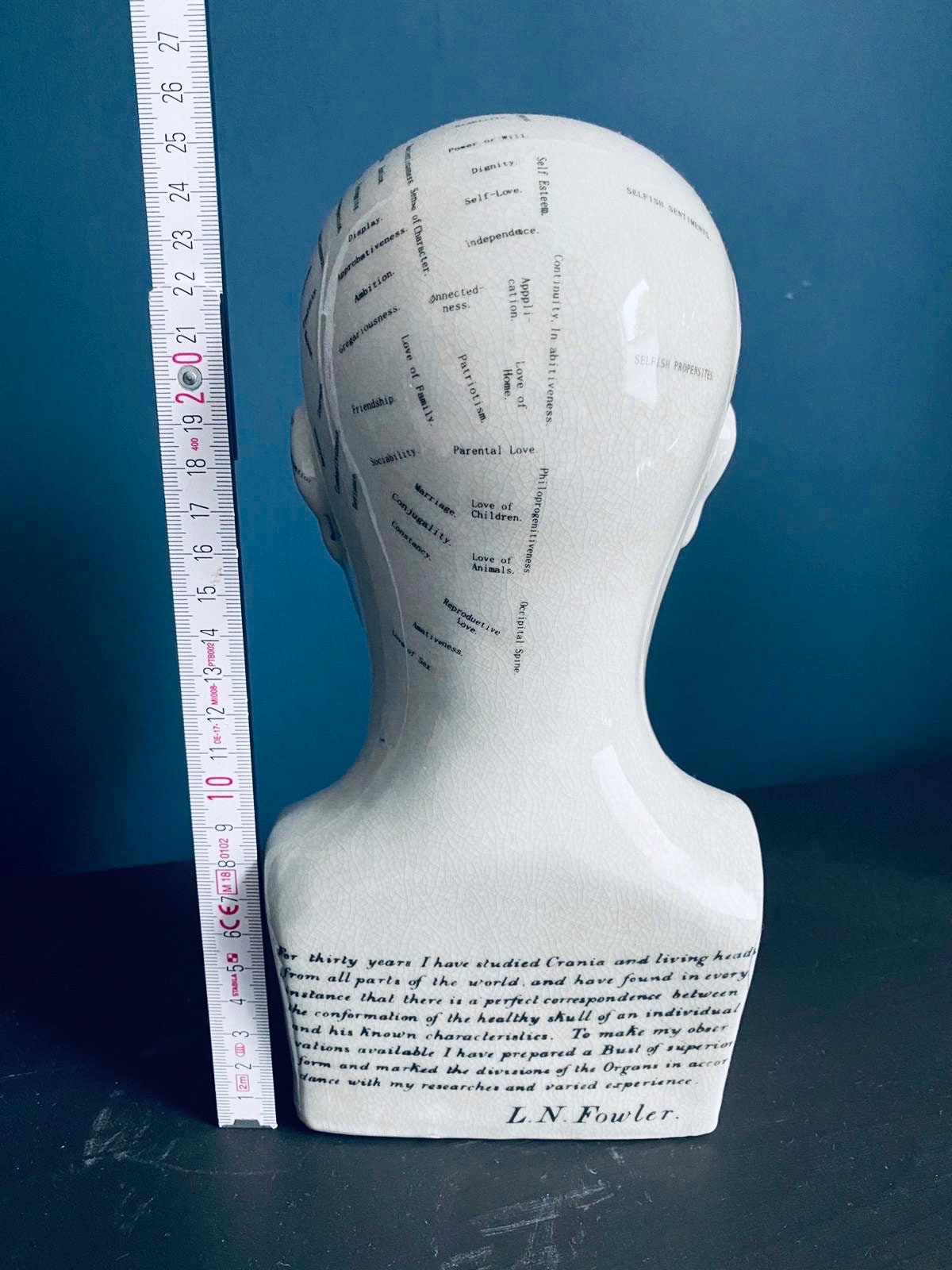 Doctor gift, Phrenology, Porcelain head, fathers day gift